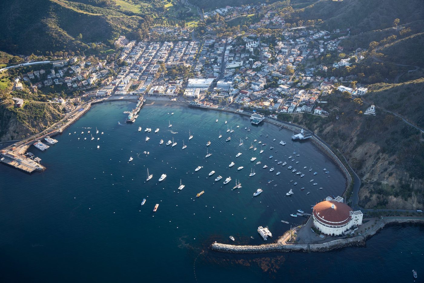 Aerial view of Avalon Harbor on Catalina, boats on moorings in front of the town