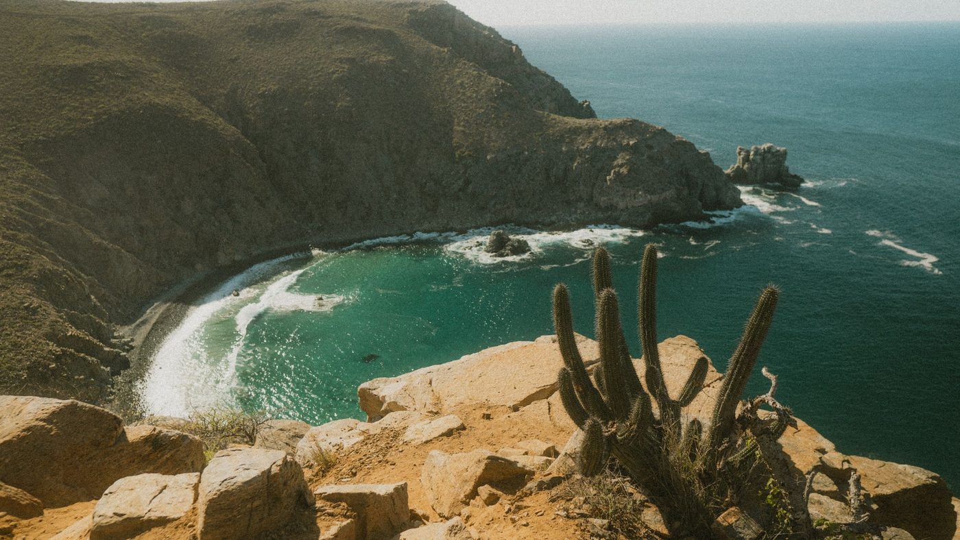 Cactus on a rocky Baja headland above a curving beach and surf