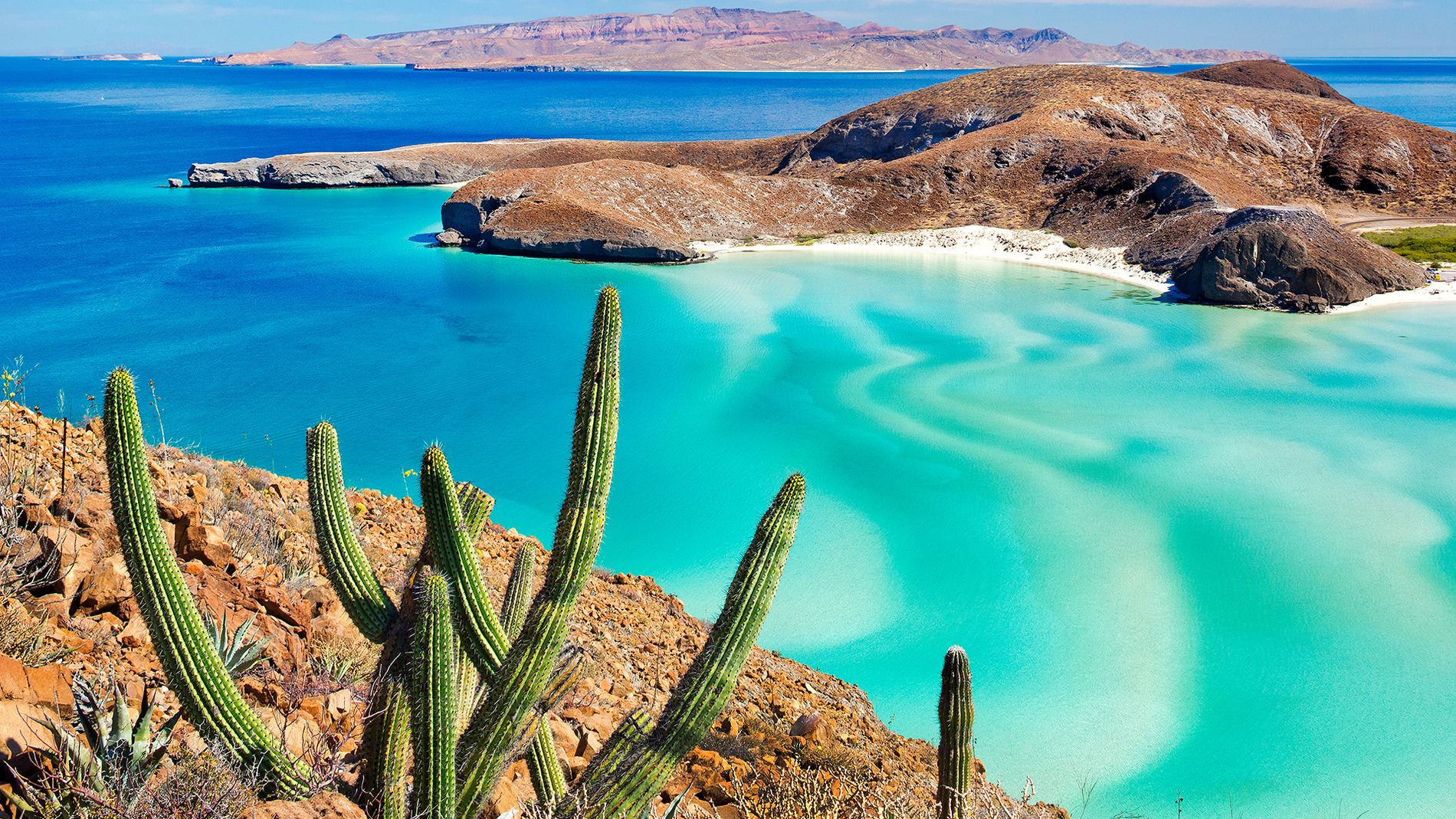 Playa Balandra near La Paz, turquoise shallows below a cactus-covered headland