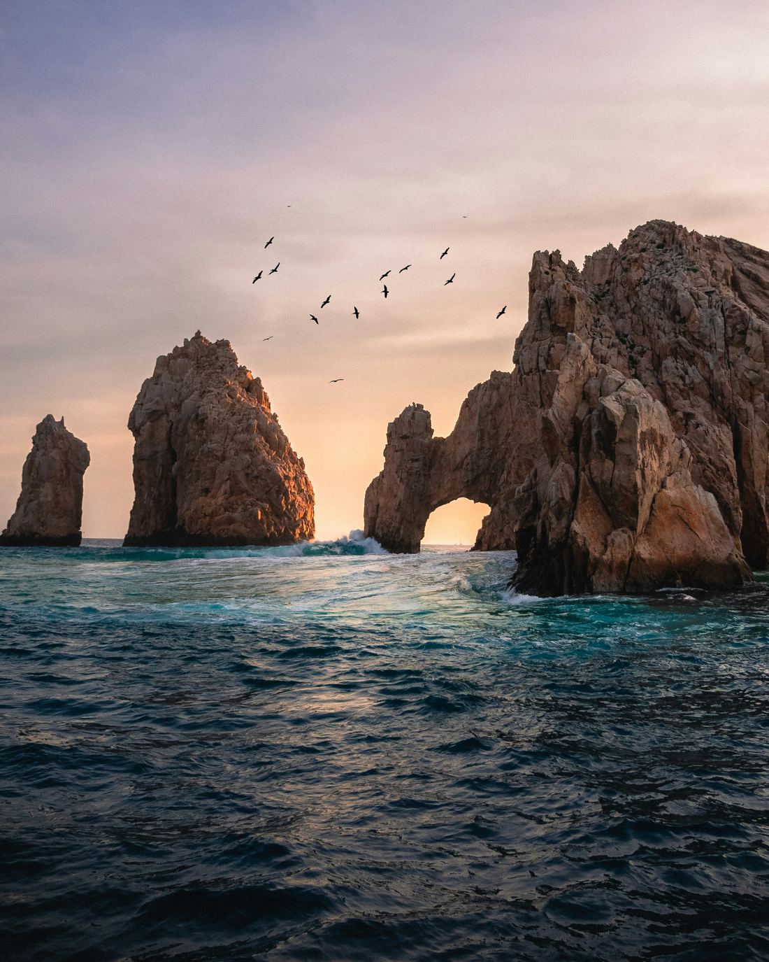 El Arco at Cabo San Lucas at sunset, with pelicans overhead