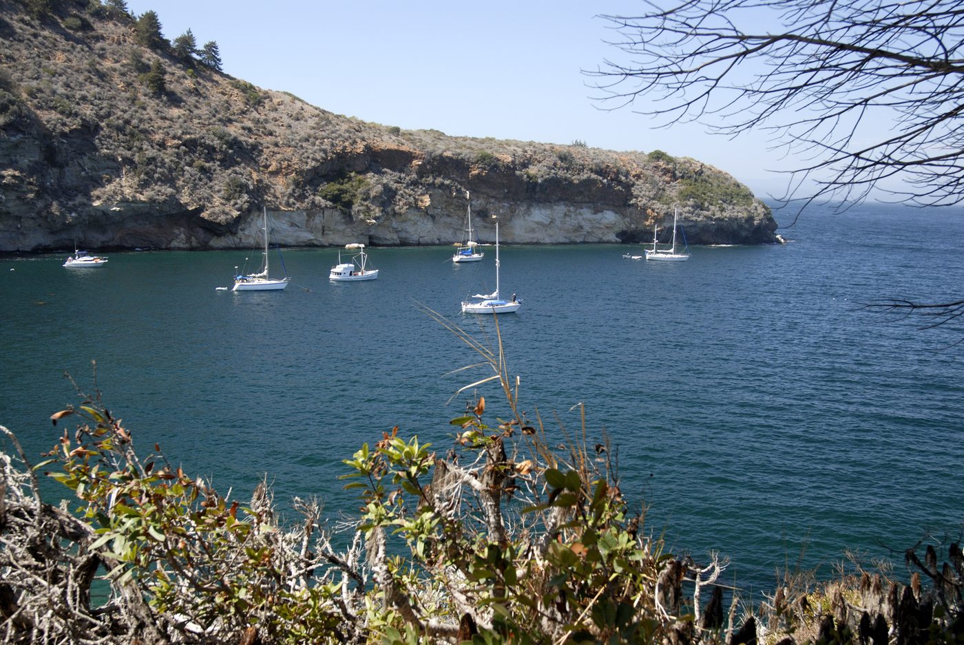 Sailboats at anchor in Pelican Bay below the cliffs of Santa Cruz Island
