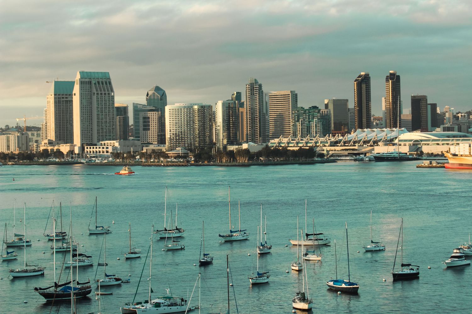 San Diego skyline across the bay, with sailboats moored in the foreground