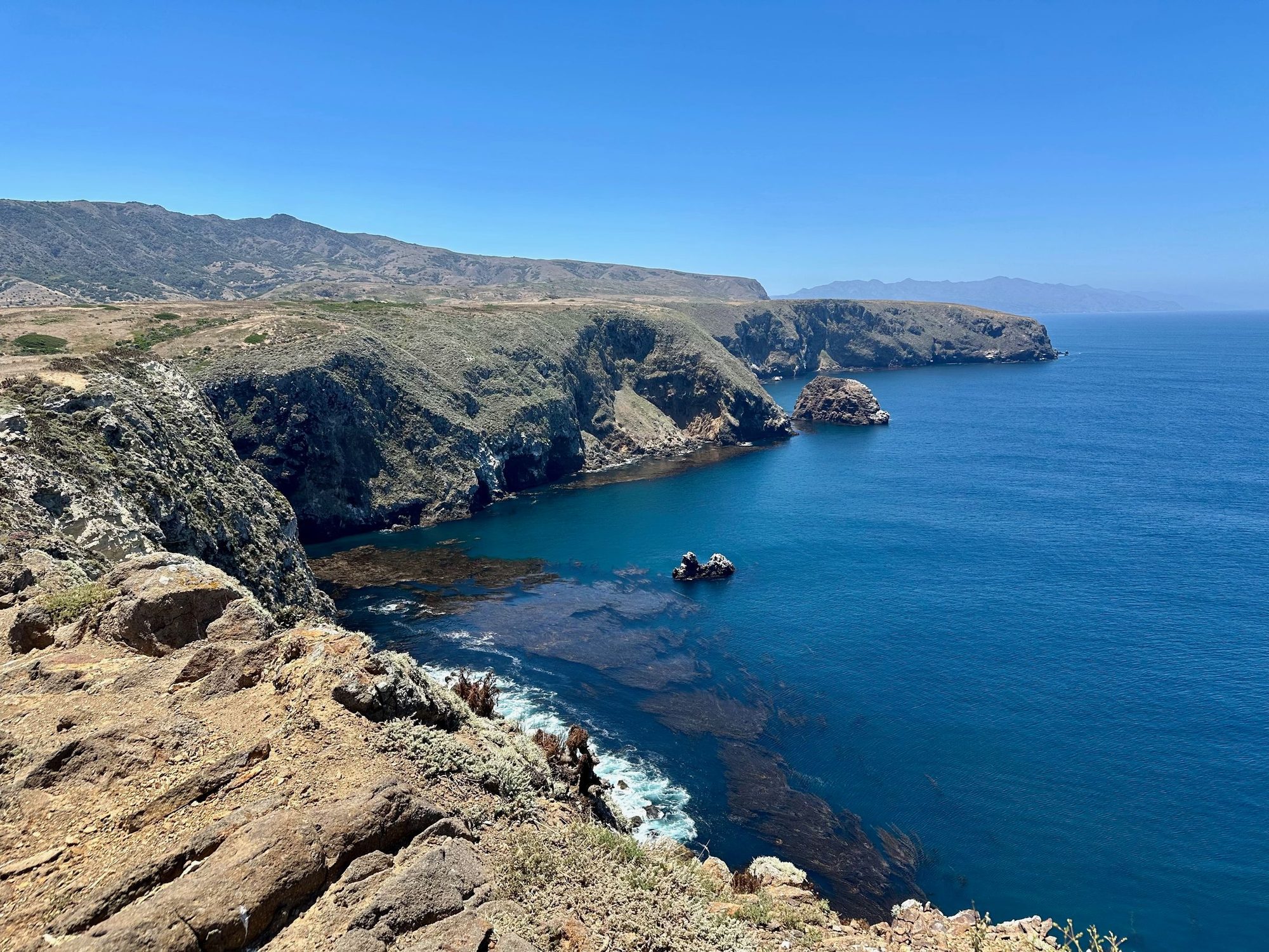 Cliffs and a kelp-filled cove on Santa Cruz Island