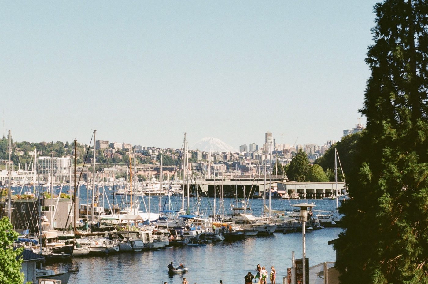 A Seattle marina full of sailboats, Mount Rainier on the horizon